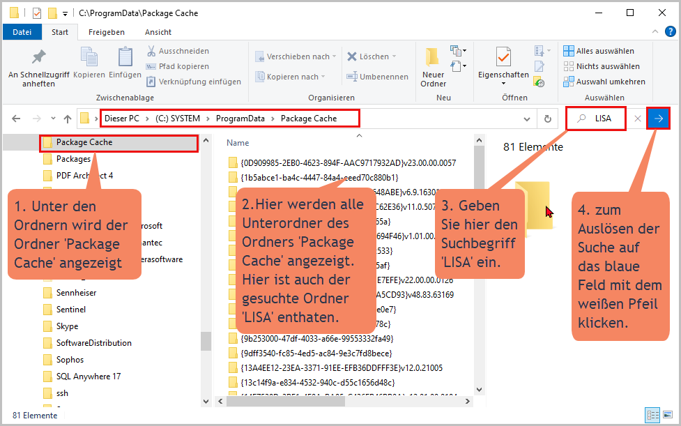 Package_Cache_nach_LISA_suchen.png